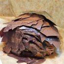 별내 페스츄리 크로아상 빵 맛집 "오뵈르" 내돈내산 후기