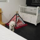 포독스1 이미지