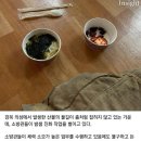 스위치오프