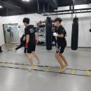 동양 킥복싱&복싱 이미지