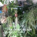 수원시 팔달구 팔달문로81번길 이미지