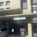 시프헤어 이미지