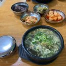 송가네한우탕