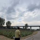 석송초등학교 | 가을 공주 1탄. 2025년 백제문화제 – 애견동반 가능! 반려견과 함께하는 가을 공주 축제