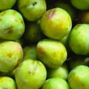 계원농장 이미지