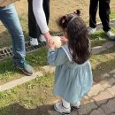 가족과 함께 떠나는 특별한 체험! 타조마을에서 잊지 못할 하루