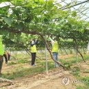 안성농식품물류센터 이미지