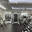 뉴욕피티 이미지