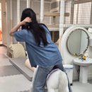 목동 육아맘들이 많이 가는 키즈카페 '꼬꼬마 실내놀이터' 전체대관 솔직 후기