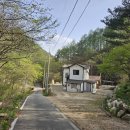 비동스테이민박 이미지