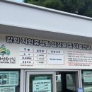 불은면-7 | 강화도 놀거리 액티비티 | 강화레포츠파크 집라인 고카트 패키지 후기(탑승제한, 난이도) | 마크델리 카페