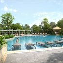 신라호텔 이미지