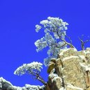 태양의 미소 이미지