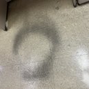 주식회사 디와이씨 이미지