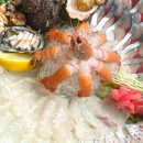 백록마당 이미지