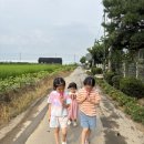 김포목장 이미지