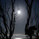 음율 카카오 검색결과