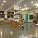 몽블리 애견카페 이미지