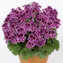 하일농장 이미지