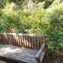 백야자연휴양림 이미지