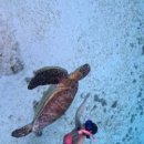 365탁정형외과의원 이미지