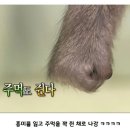 아 졸리다