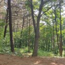 아름다운 산책 이미지