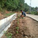 서흥농장 이미지