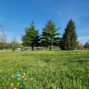 헌트 | [4월] 렉싱턴 Shillito Park 부활절 에그헌트 후기/렉싱턴에서 제대로 에그헌트 경험할 수 있는 곳!🥚💛