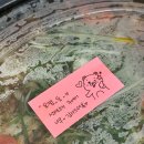요달의찜닭전주 네이버블로그