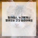 유앤동물병원 | 이수역필라테스, 내 인생이 달라진 기적 같은 이야기!