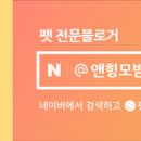 토들리 이미지