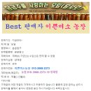 향긋한 깻순 4키로 15,000원 , 맛있는 생채 2키로 11,000원 이미지