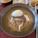 서귀포평양옥 | [제주도 평양냉면집 리뷰] 제주시&서귀포 평양냉면 맛집 비교 후기! 평담옥 화순평양면옥 제주 평양옥