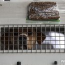 국제2농장 뉴시스