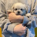 연제구-045 이미지