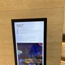 쇼당구장 | 제주여행 제주아이랑숙소 신화월드 신화관, 라바월드, 워터파크 다녀왔어요~