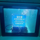 제주도 서귀포 잠수함 & 아쿠아플라넷 이미지