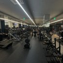 디벨롭짐 이미지