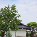 초연스테이 이미지