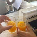 씨엘로호텔(Cielo Hotel) | 5일 우정 여행 2일차 ( 세부 쉐라톤, 모닝글로리, 씨엘로스파, 쉐라톤 조식 , 쉐라톤 아쿠아로빅 후기. )