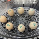 영월동물복지농장 이미지