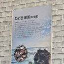 톳세상톳오리앤국수 | 울산 북구 명촌 맛집, 내돈내산 맨날국수 명촌점 배말칼국수 톳김밥 조합 추천