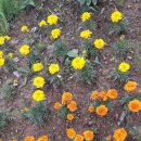 아산봄소아청소년과의원 이미지