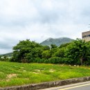 우산소류지 네이버블로그