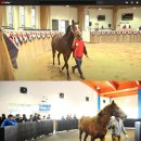 부마목장 이미지