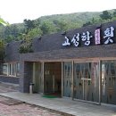 금강산횟집 이미지