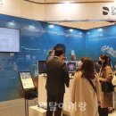 슈어덴탈 이미지