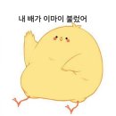 드래곤책방 이미지