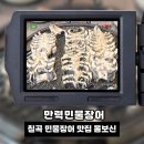 만력 | 🔥 여름철 몸보신 제대로! 장어구이 맛집 [만력민물장어집] 후기 | 민물장어 | 여름몸보신 | 장어맛집...